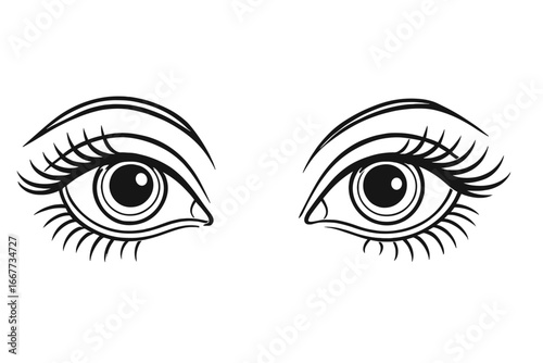 Elegant woman eyes line art. Beautiful female look with long eyelashes. Makeup, cosmetics, beauty salon icon. Vision, sight concept. Vector illustration isolated. Glamour girl.