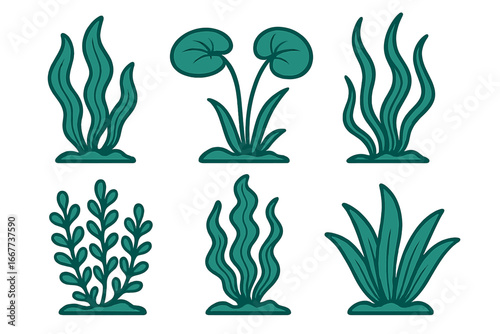 Stylized aquatic plants vector set in minimalistic design, featuring unique shapes and fluid forms, vector cartoon illustration on transparent background, ordered collection for design projects
