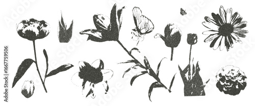 Butterfly and flowers photocopy retro set. Daisy, peony and lily plant. Y2k grain elements. Stippling collage shapes on transparent background. Vector black noisy illustration.