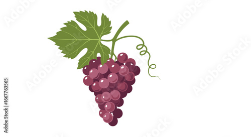 Fresh bunch of ripe red grapes with green leaf and vine, perfect for healthy eating and culinary inspiration.