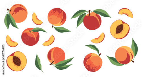 Juicy, ripe peaches and slices with fresh green leaves, vibrant summer fruit illustration