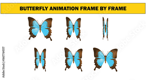 Butterfly Animation Frame Sequence