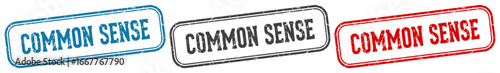 common sense stamp. common sense rectangular stamp set isolated on white background