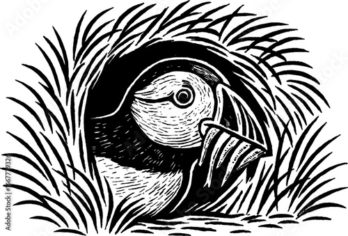 Black and white illustration of a bird in a nest surrounded by tall grass showing detail of the bird's head and beak