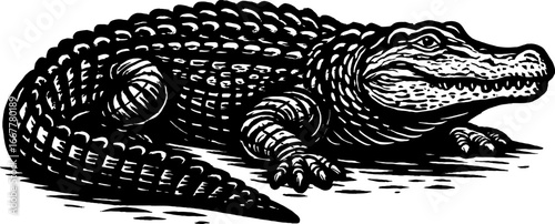 Black and white illustration of an alligator reptile. Detailed texture with scales and skin of a crocodile shows a detailed illustration