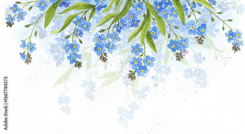 Delicate blue forget-me-not flowers cascade with vibrant green leaves, perfect for spring designs.