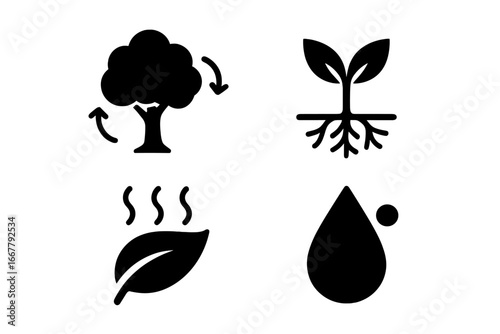 Plant water cycle vector icon set. Solid glyph icons of plant role in water cycle, tree canopy, roots absorption, leaf evaporation, transpiration, dew drop illustration. Ecology.