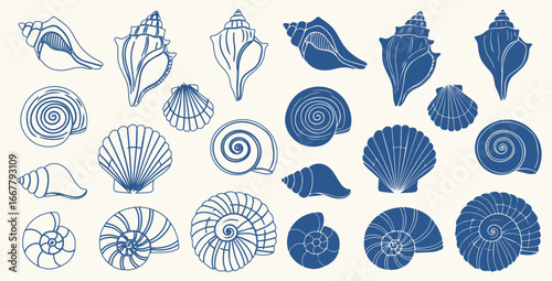 Set of hand drawn seashells drawing ink. Minimalist line art. Summer vacation design elements for trendy prints, label, menu cover. Tropical beach shells. Vector flat illustration.