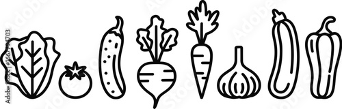 Minimalist Vegetable Line Art Fresh Produce Illustration