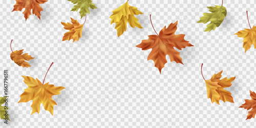 Realistic maple leaf border with falling and flying autumn foliage in orange, yellow and green colors scattered on transparent background. Natural seasonal elements with , for fall design projects.