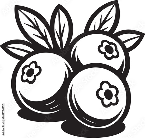 Black and white illustration of blueberries with leaves.