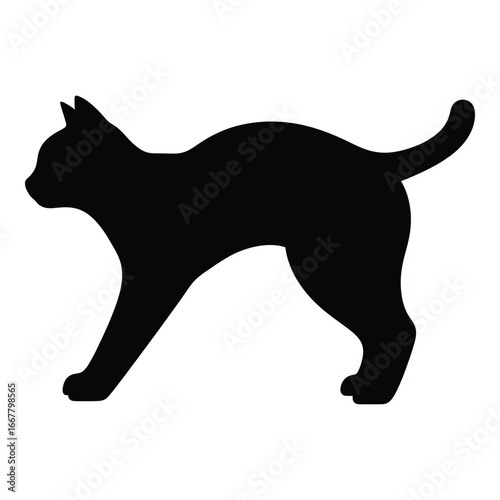 Black silhouette of a cat walking with tail up on white background feline animal