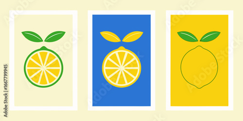 vector illustration of an orange fruit