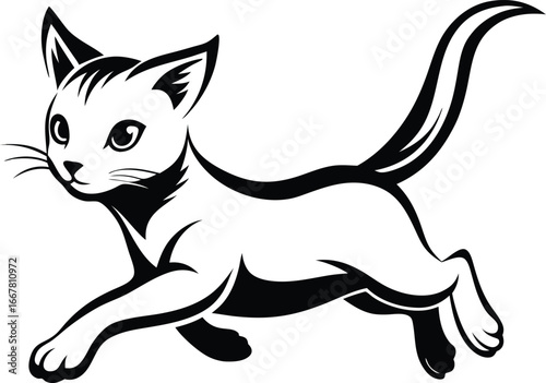 kitten mid leap in playful pose