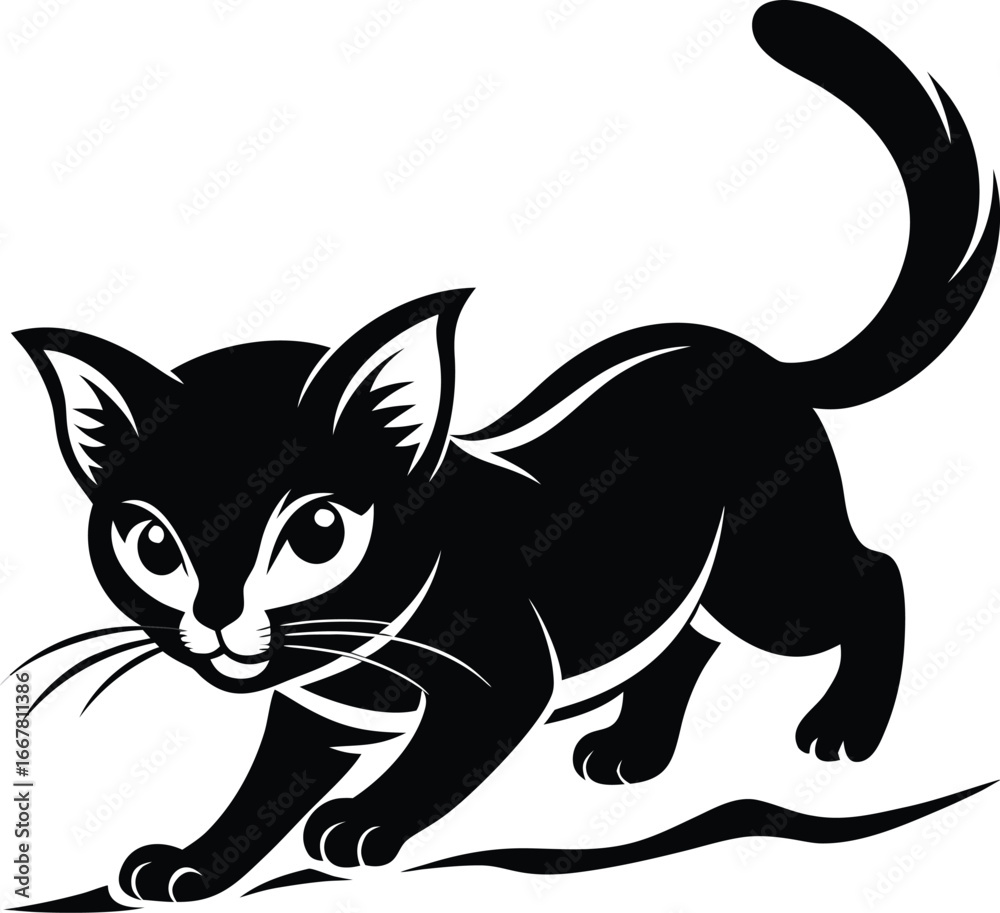 Obraz premium kitten pouncing on invisible prey