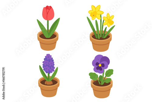 Isometric spring flower icon set. Potted tulip, daffodil, hyacinth, and pansy. Flat design vector graphic. Seasonal gardening, nature, bloom illustration concept.