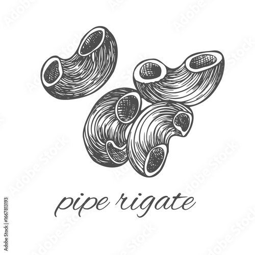 Pipe rigate Italian pasta, isolated on white. Group of pipe rigate close-up. Pasta italiana package design element. Pasta secco for cook or recipe book. Simple quick side dish for vegetarian. Vector.