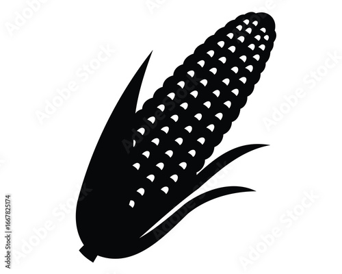 Black and White Graphic Illustration of a Mature Ear of Corn
