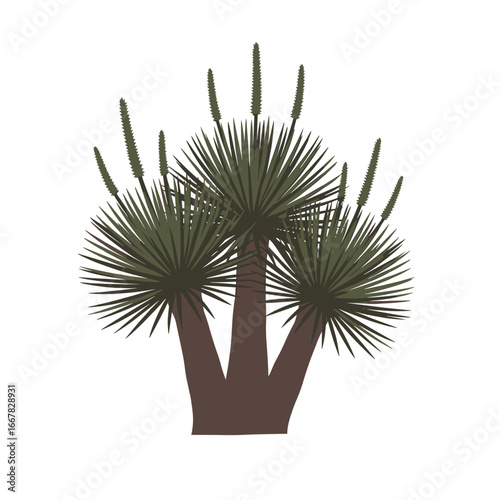 Exotic Desert Plant with Spiky Green Leaves and Tall Flower Stalks Growing in Arid Conditions
