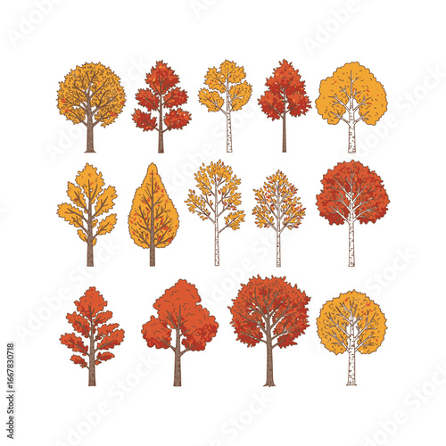 Autumn Tree Collection 12 HandDrawn Trees in Orange and Yellow Hues for Fall Designs