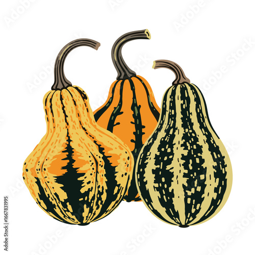 Autumn Harvest Decorative Gourds Offer Rustic Charm for Fall Decorations