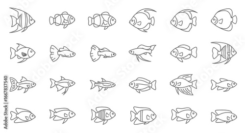 Collection of various fish species in a simple line art style, isolated on a, perfect for educational or decorative purposes