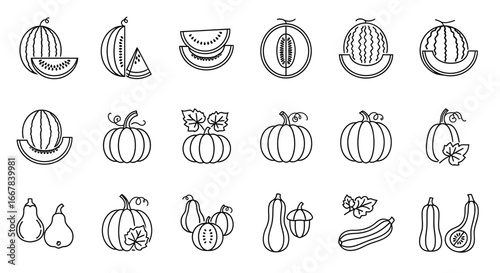 Collection of handdrawn line art icons representing various fruits and vegetables, including watermelons, melons, pumpkins, pears, and gourds, all isolated on a clean for versatile design use