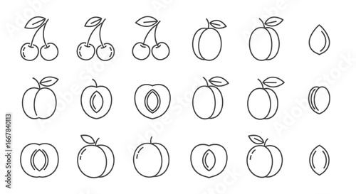 Collection of simple line art icons representing various fruits and their parts, including cherries, peaches, and pits, all isolated on a for versatile design use