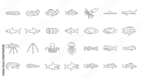 Collection of handdrawn line art illustrations of various marine animals and sea creatures, isolated on a, showcasing diversity of underwater life in a simple, clean style
