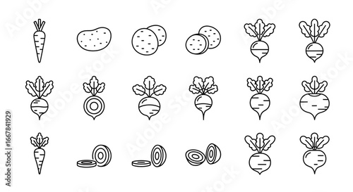 Collection of line art icons featuring root vegetables including carrots, potatoes, and radishes, all isolated on a, representing healthy eating and organic produce