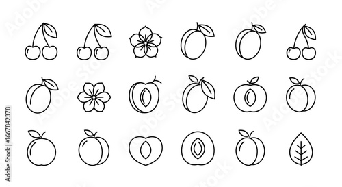 Collection of simple line art icons featuring various fruits and a leaf, isolated on a, perfect for graphic design and healthy eating concepts