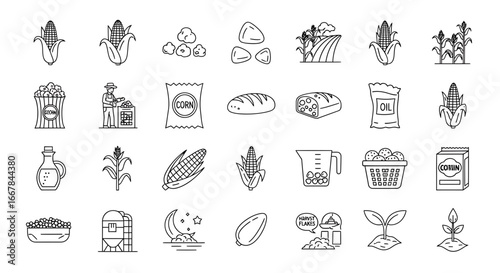 Collection of handdrawn icons representing corn farming, harvesting, and products, including corn cobs, kernels, popcorn, bread, oil, and agricultural machinery, isolated on a