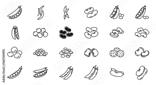 Collection of handdrawn legume icons, including various types of beans, peas, and chickpeas, isolated on a, representing healthy food and plantbased nutrition
