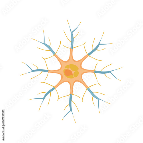 Colorful scientific illustration of a single neuron or nerve cell with dendrites and axons