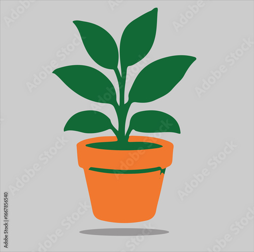 green plant in a pot