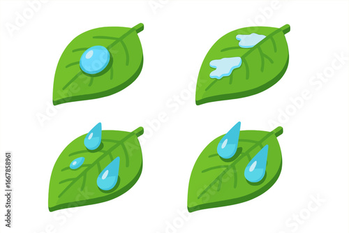 Leaf icon set with seasonal weather. Isometric vector of a green leaf with a dew drop, frost, and raindrops. Concept for nature, ecology, environment, climate, and seasons.