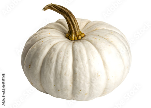 Isolated image of a white pumpkin with a brown stem on a transparent background in a studio setting