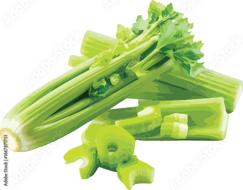 Fresh Green Celery Stalks and Chopped Pieces vegetable