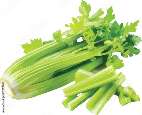 Fresh Green Celery Stalks and Leaves Isolated vegetable 