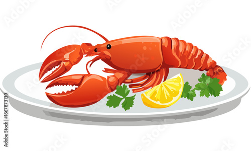 lobster on a white background