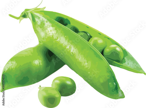 Fresh Green Peas in Pods Vibrant Vegetable Illustration