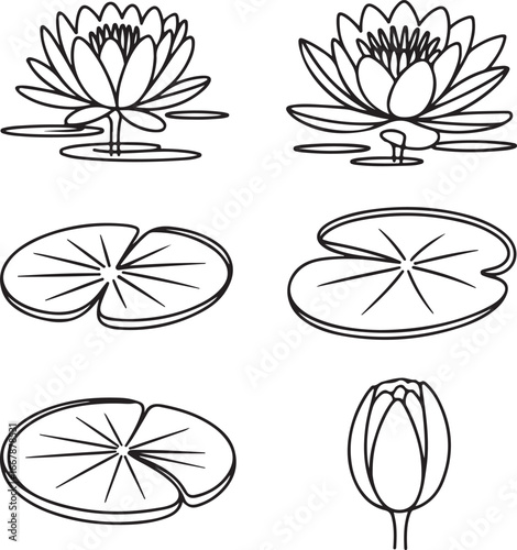 water, lily, line, art, collection, lotus, flower, and, pad, simple, outline, drawing, for, coloring, book, vector