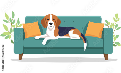 beagle, dog, animal