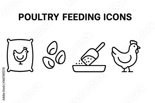 Poultry feeding outline icon set. Vector illustration of chicken, feed sack, corn kernels, scoop and trough feeder. Farm animal and agriculture concept for farming routine.