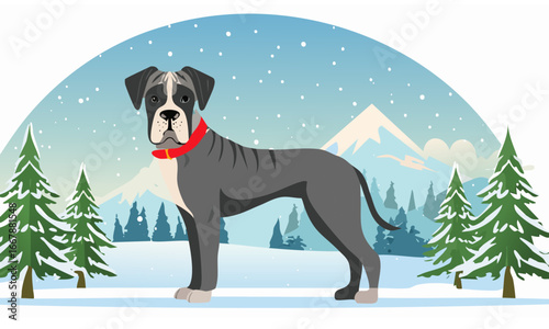 dog in the snow