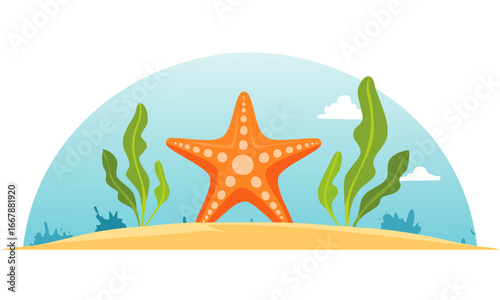 starfish on the beach