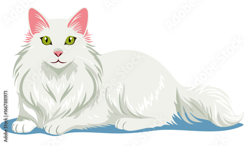 cat, animal, kitten