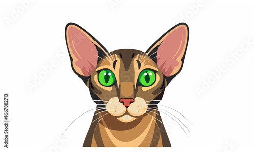 vector illustration of a cat