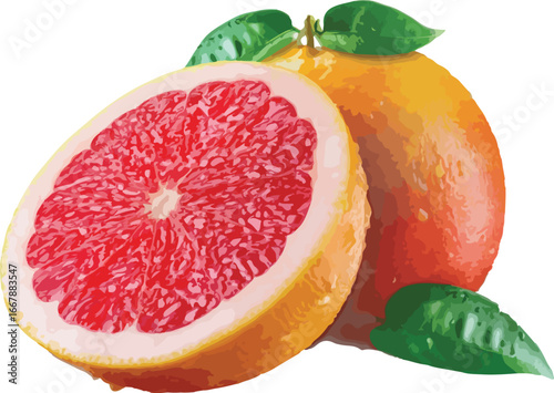 Red Grapefruit Half and Whole with Green Leaves pink grapefruit