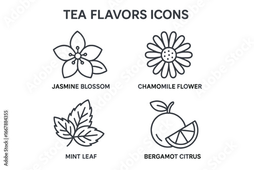 Tea flavors outline icon set. Vector collection of herbal infusions jasmine, chamomile, mint, bergamot. Natural drink symbols for packaging design. Healthy beverage ingredients.